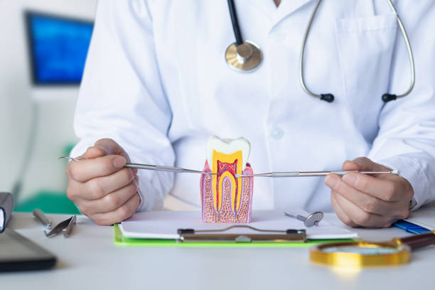 Best Emergency TMJ Treatment in Marriott Slaterville, UT